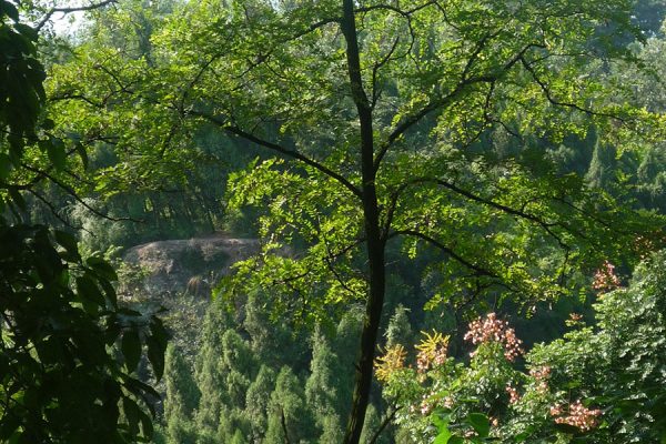 Subtropische Landschaft um Dazu